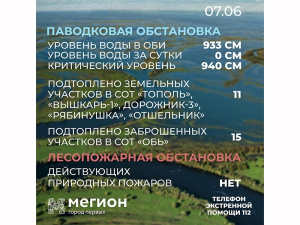 Лесопожарная и паводковая обстановка в Мегионе на 7 июня