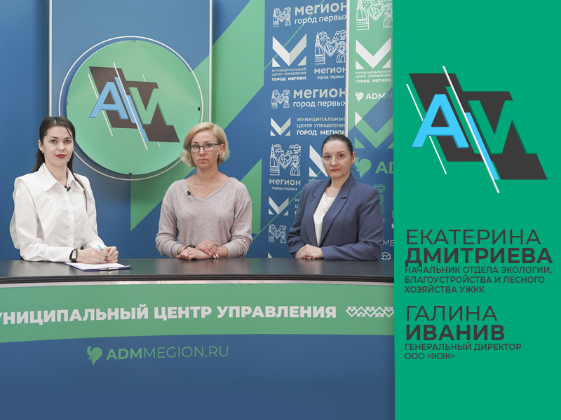 Актуальное Интервью. Чистота и порядок против безответственности.