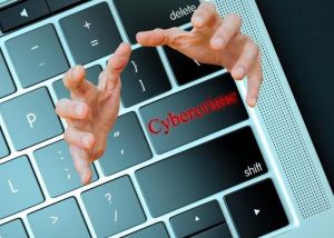 В России на 8% снизилось количество киберпреступлений