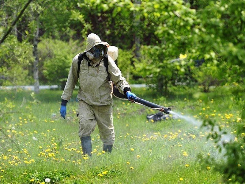 Началась обработка от мошек и комаров