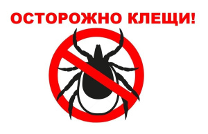 Порядок организации оказания медицинской помощи в  «Мегионской городской больнице» горожанам, пострадавшим от укусов клещей