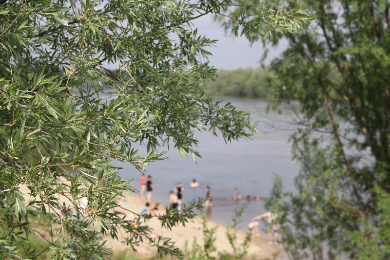 Правила безопасного поведения на воде