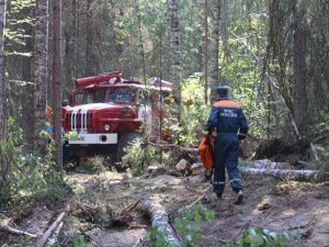 Оперативная информация о ситуации с лесными пожарами в Югре