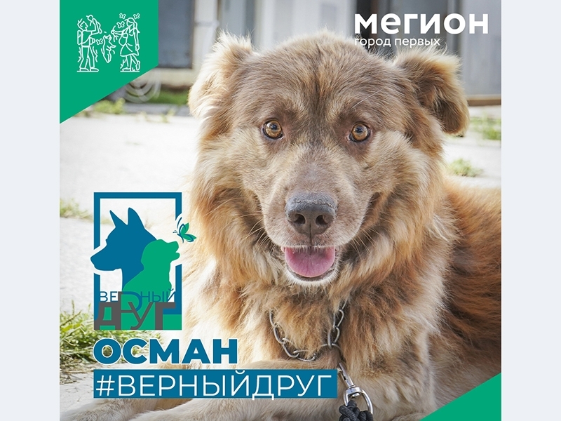 Верный друг