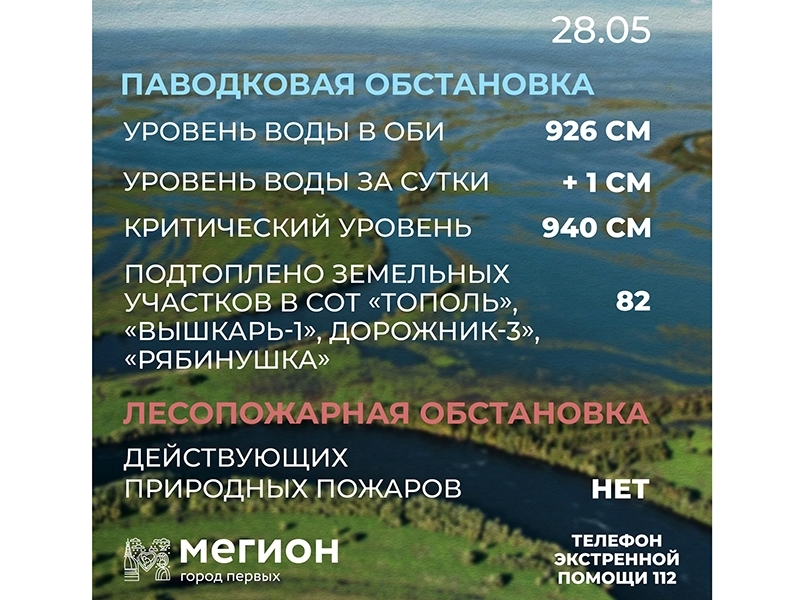 Лесопожарная и паводковая обстановка в Мегионе на 28 мая