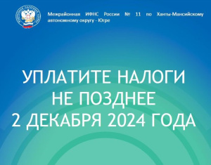 Срок уплаты имущественных налогов для физических лиц в 2024 году – не позднее 2 декабря