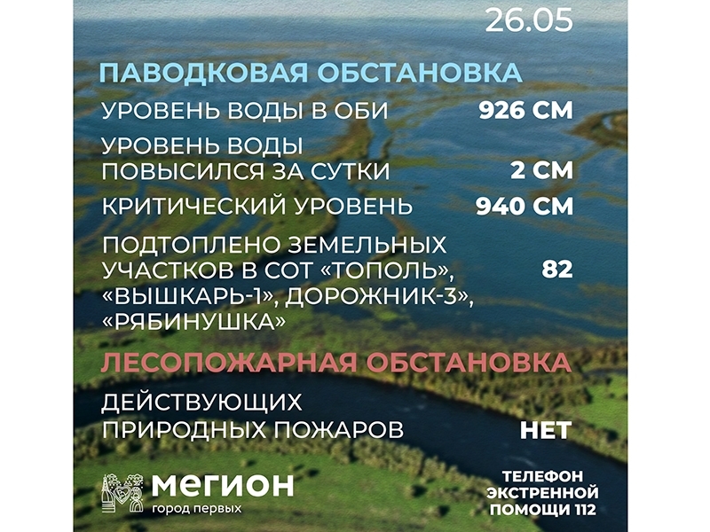 Лесопожарная и паводковая обстановка в Мегионе на 26 мая