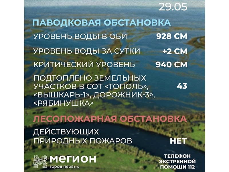 Лесопожарная и паводковая обстановка в Мегионе на 29 мая