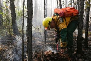 В лесах Югры завершился пожароопасный сезон