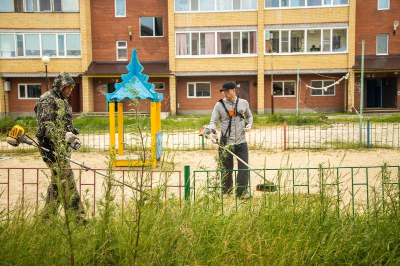 Воскресенье, проведенное с пользой