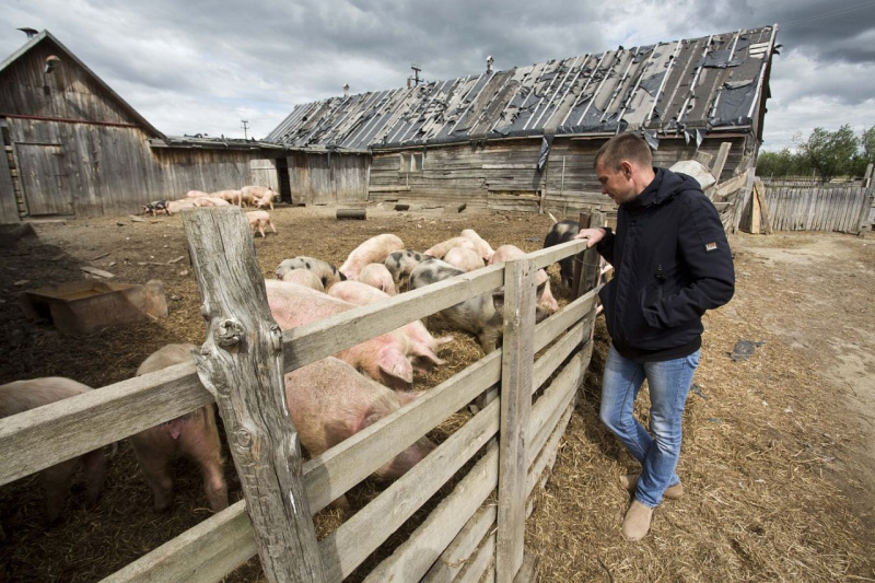 В Югре запустят программу «Агромотиватор» для бойцов и ветеранов СВО