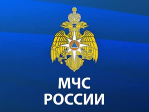 Пострадавшие в чрезвычайных ситуациях жители получат новые социальные гарантии