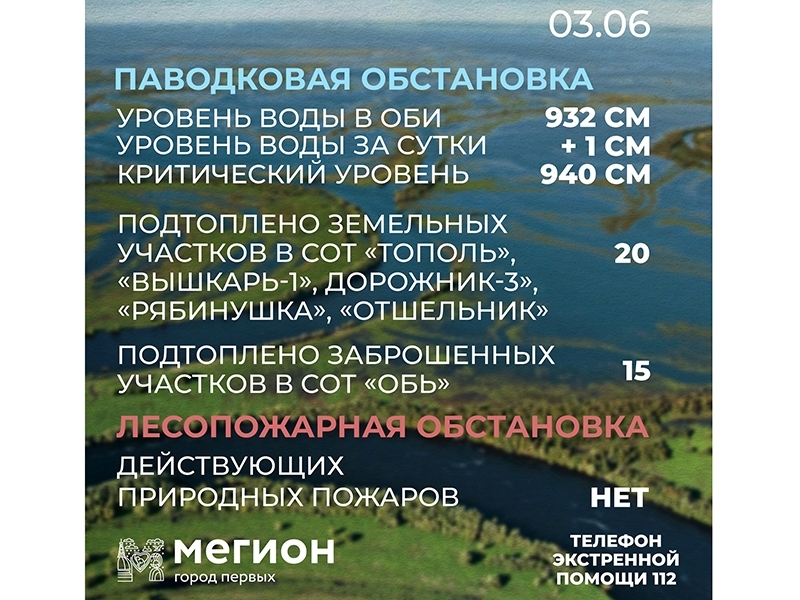 Лесопожарная и паводковая обстановка в Мегионе на 3 июня