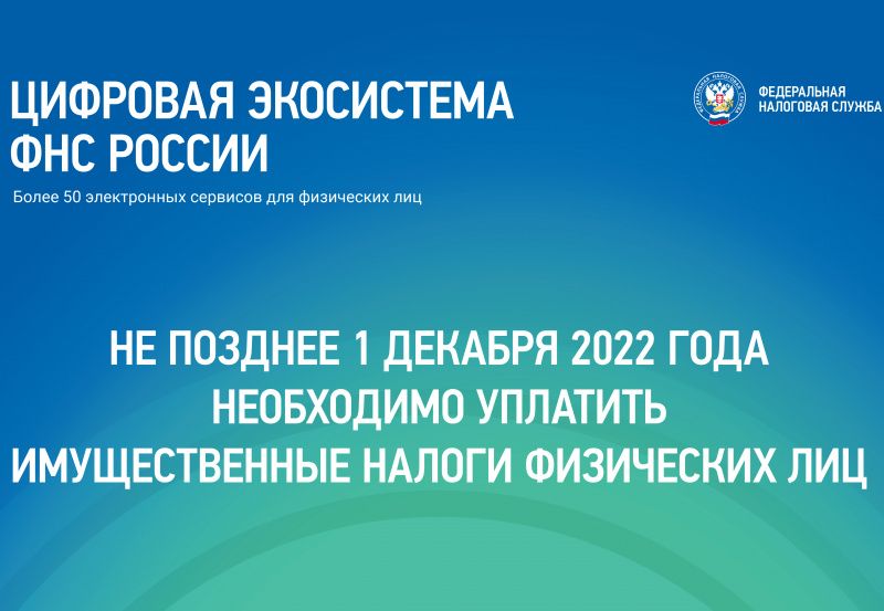 Имущественные налоги необходимо оплатить не позднее 1 декабря