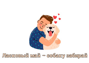 В Югре проходит зоозащитная акция «Ласковый май – собаку забирай!»