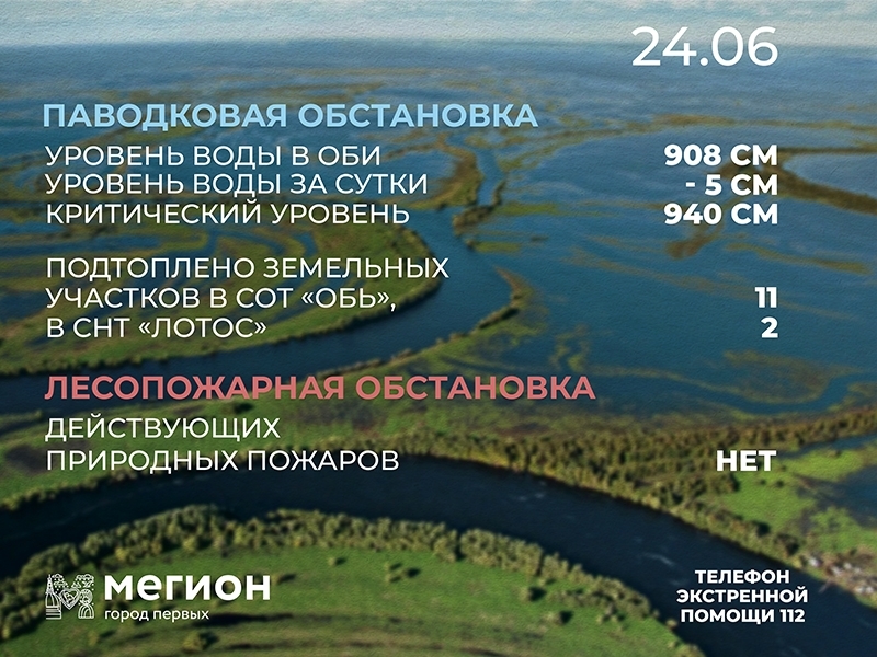 Лесопожарная и паводковая обстановка в Мегионе на 24 июня