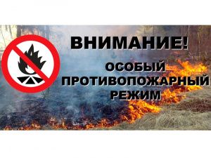 В Югре введен особый противопожарный режим
