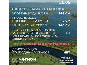 Лесопожарная и паводковая обстановка в Мегионе на 26 мая