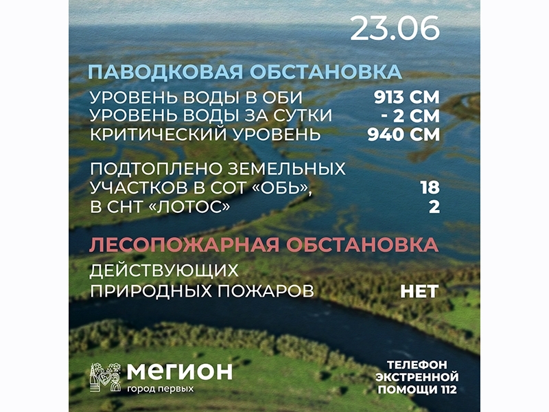 Лесопожарная и паводковая обстановка в Мегионе на 23 июня