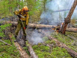 Для стабилизации обстановки в Югре продолжают наращивать группировки лесопожарных сил