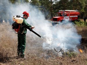 За период с 21 по 28 июня в Югре лесопожарные силы ликвидировали 12 лесных пожаров 