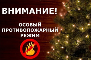 Внимание! Введен особый противопожарный режим