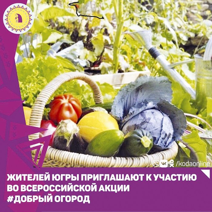 Жителей Югры приглашают присоединиться к проекту «Добрый огород»