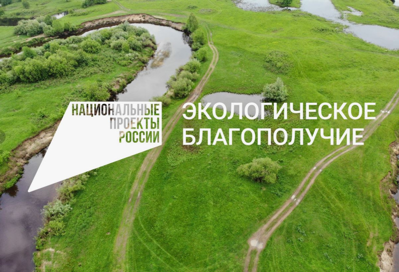 Благодаря национальному проекту «Экологическое благополучие» в нашей стране растет число экотуристов