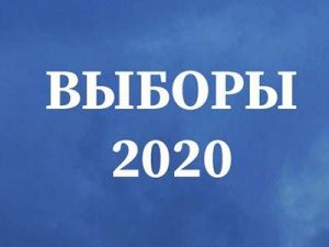 Внимание! Онлайн-семинар по вопросам участия в выборах депутатов городской Думы перенесен на 10 июля