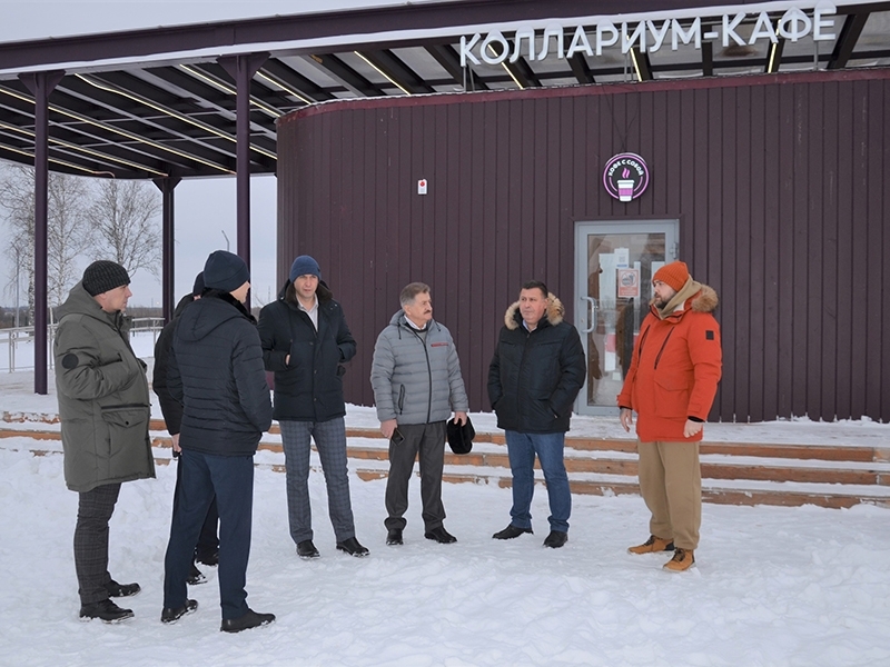 Предприниматели Мегиона хотят установить в Мега.Парке пятиметровую ель