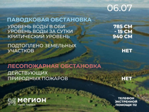 Лесопожарная и паводковая обстановка в Мегионе на 6 июля