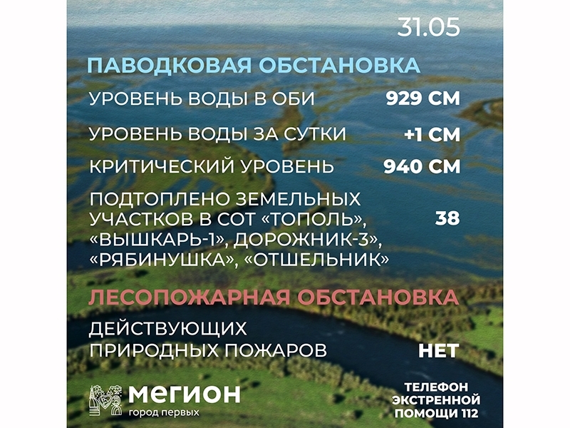 Лесопожарная и паводковая обстановка в Мегионе на 31 мая