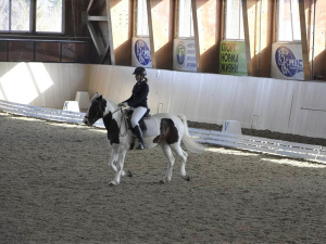 В Ханты-Мансийске прошли открытые региональные соревнования по конному спорту