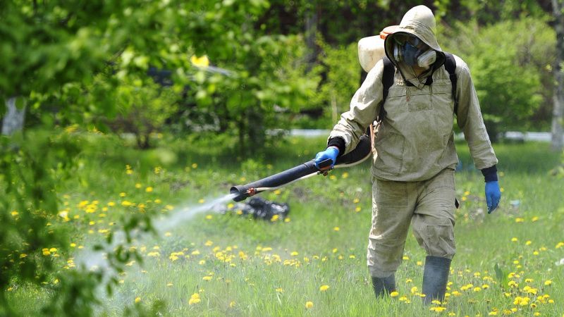 С понедельника общественные территории Мегиона начнут вновь обрабатывать от клещей