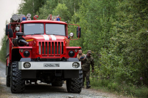В Югре за сутки потушили семь и локализовали пять лесных пожаров
