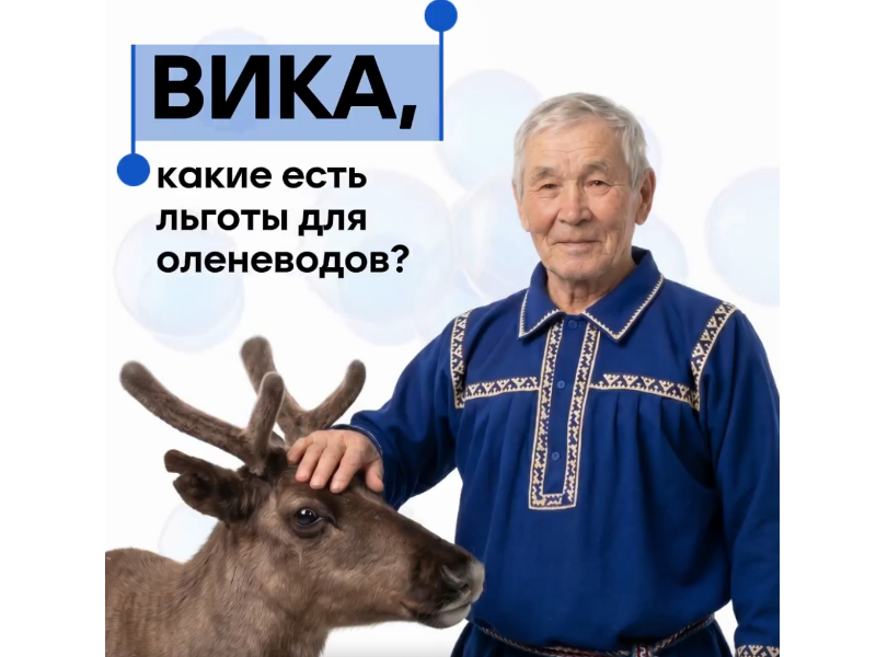 Один чат-бот – множество возможностей