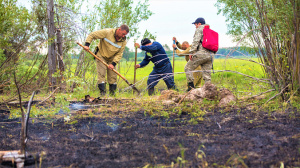 В Югре локализовали половину лесных пожаров 